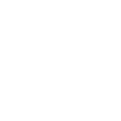 PTPI-Icon-Organisation