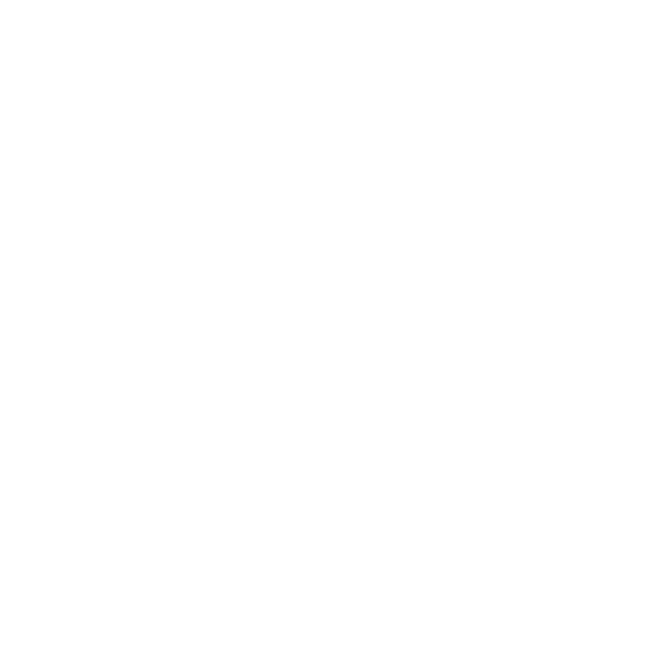 PTPI-model-data-simple-net-Icons