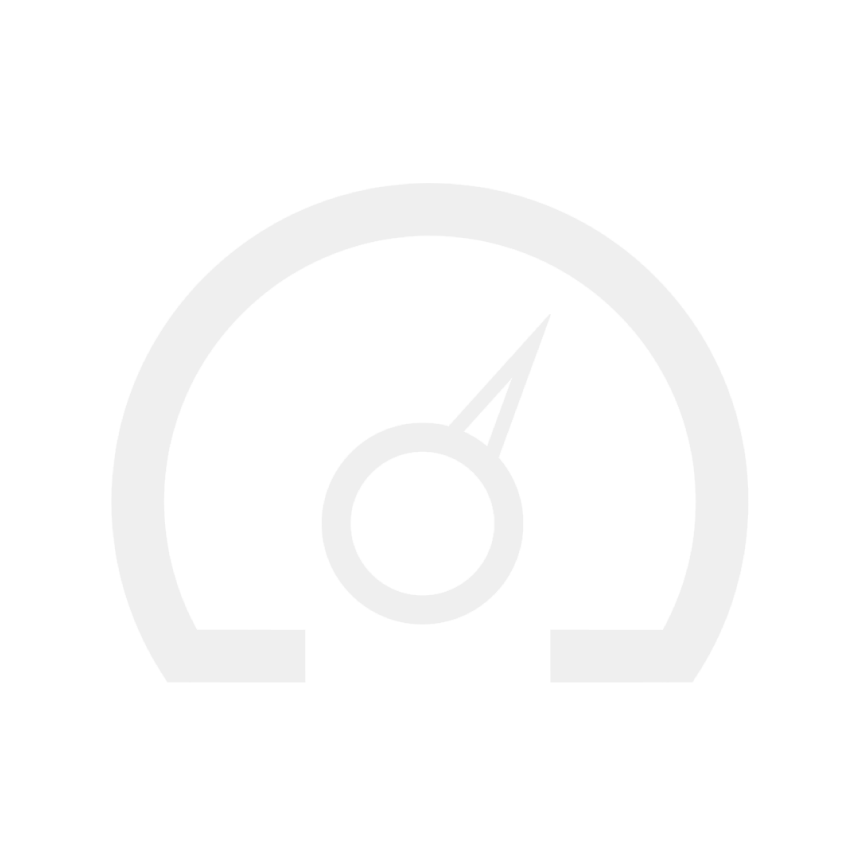 PTPI-speed-Icons